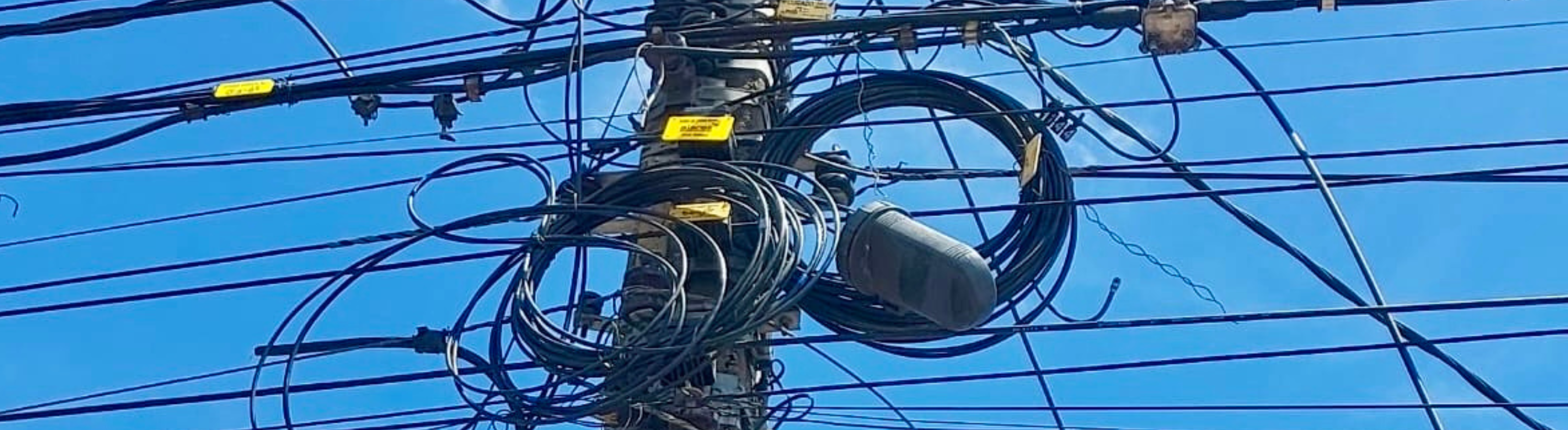 Vinte cidades recebem a Operação Gatonet da Neoenergia Coelba na próxima semana; confira a programação